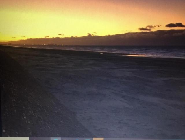 Appartement Studio Face A La Mer Bray-Dunes Bagian luar foto